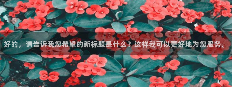 新宝娱乐5
