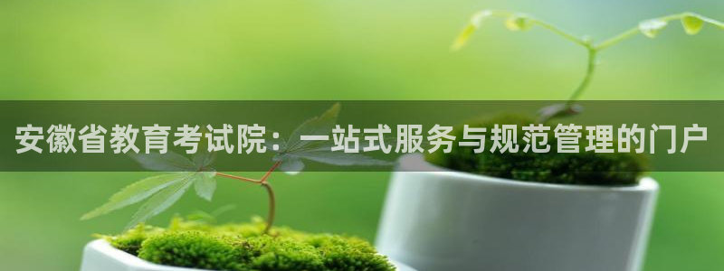 新宝5手机平台登陆