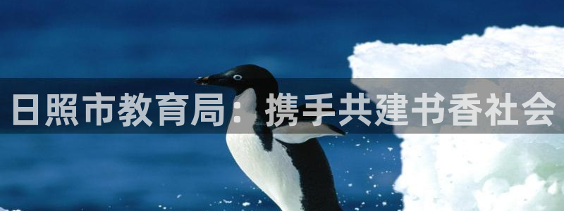 新宝堂新会陈皮5年