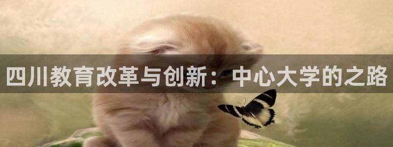 新宝5口67五壹叁八