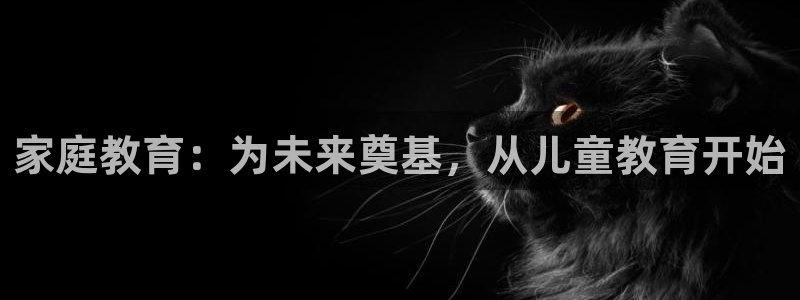 菲律宾新宝5老板