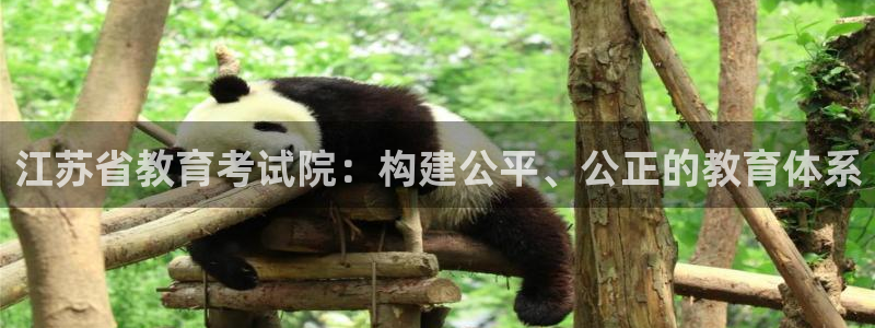 新宝5现在还能玩吗