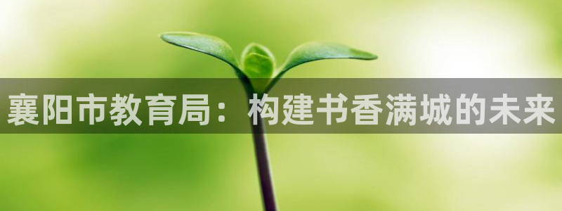 新宝5官方下载地址