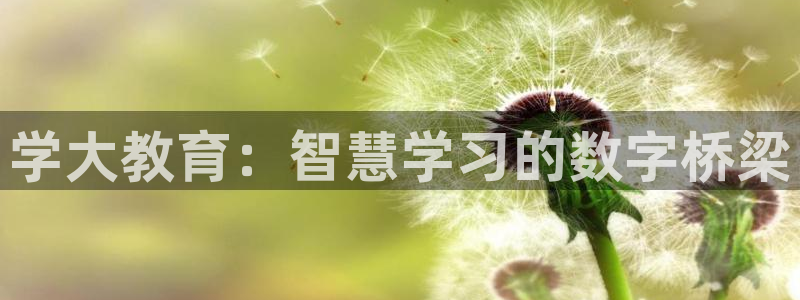 新宝5什么时候上市