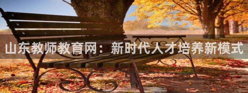 菲律宾新宝5老板