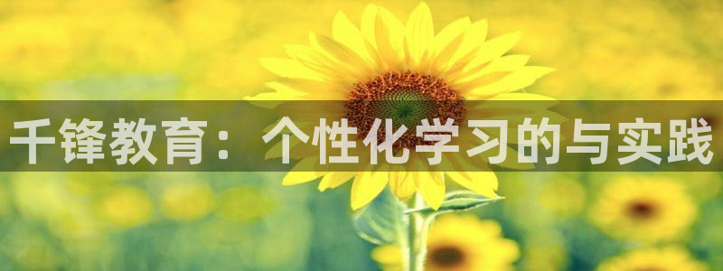 新宝股东王听2 5 5