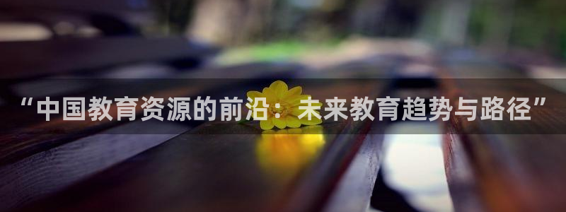 新宝5网
