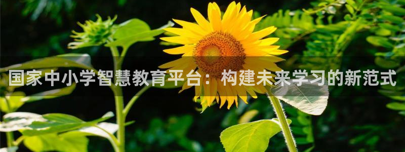 新宝5系列