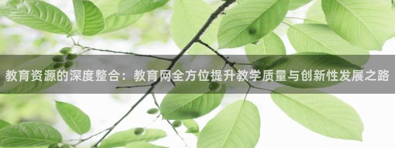 新宝5官方下载地址