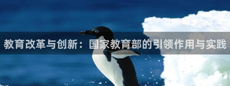 新宝5安卓版