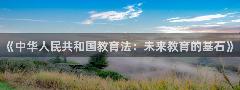 新宝5手机平台登陆