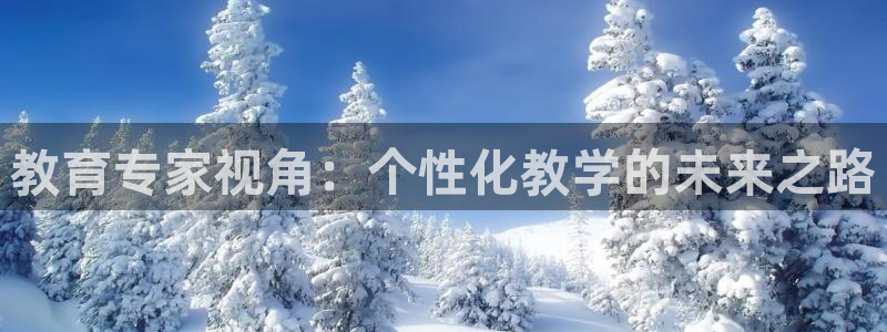 新宝5代理