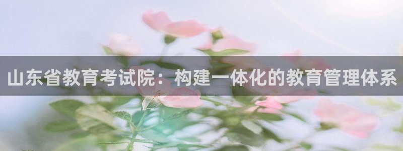 新宝5 代理