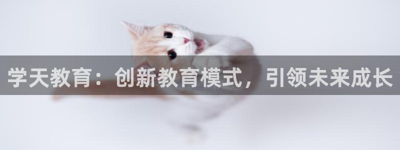 新宝5手机版
