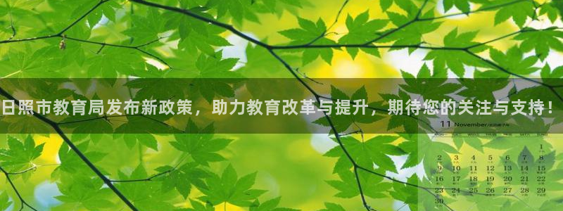 新宝5测速在线