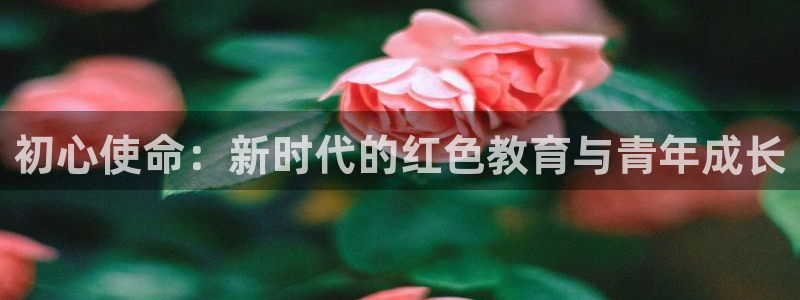 新宝5彩票娱乐平台