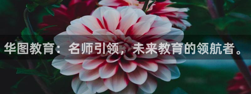 新宝5策略