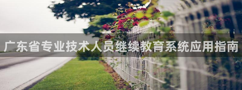 新宝5玩法