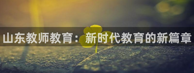 新宝5娱乐平台