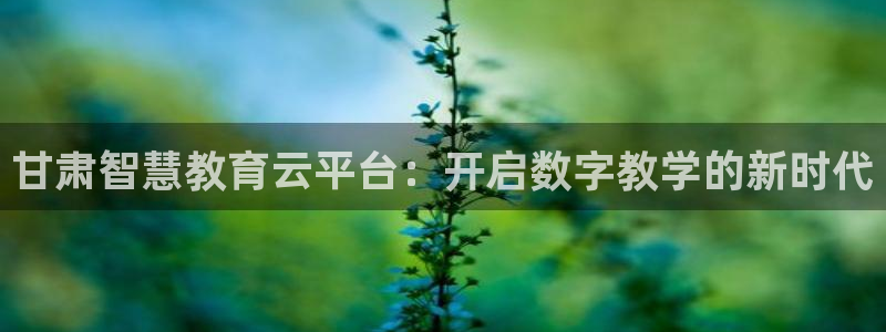 有人知道新宝5么