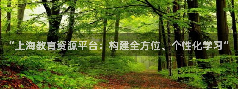 新宝5可靠吗
