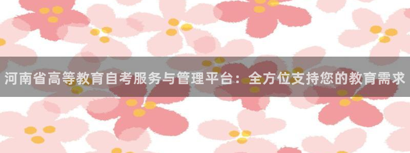 新宝5怎么代理