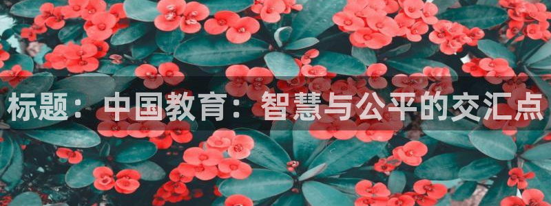 p5r新宝魔