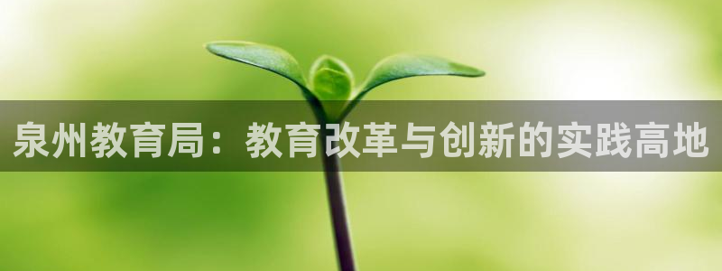 新宝5娱乐如