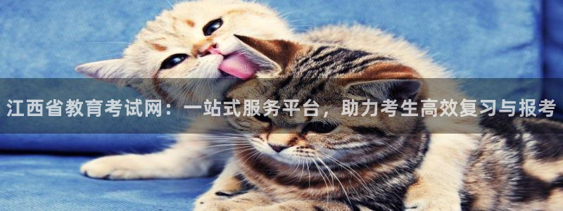 新宝5可靠吗