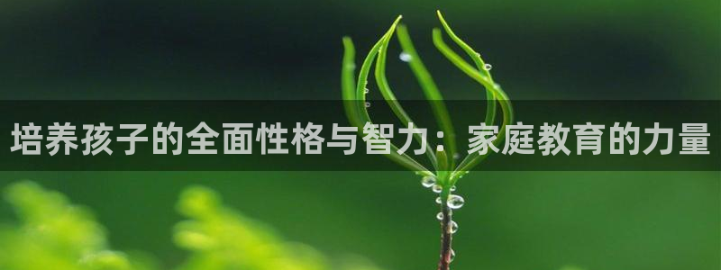 新宝5官网app