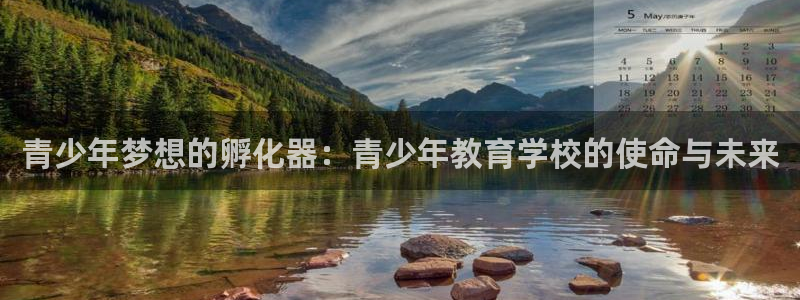 新宝5下载app