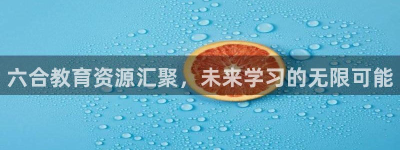 新宝5日