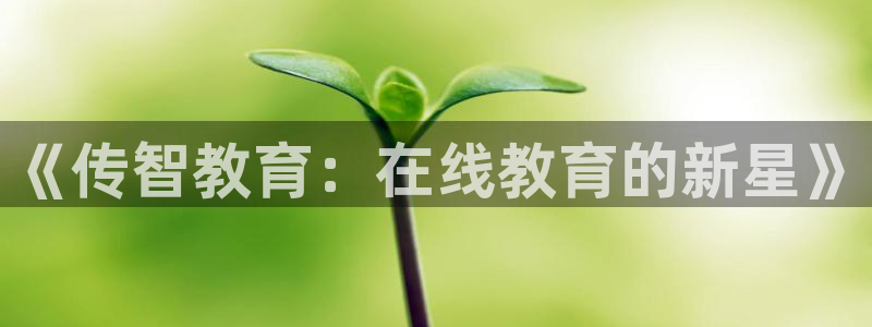 新宝5如何下载