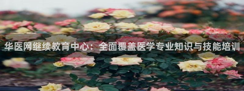 新宝5后